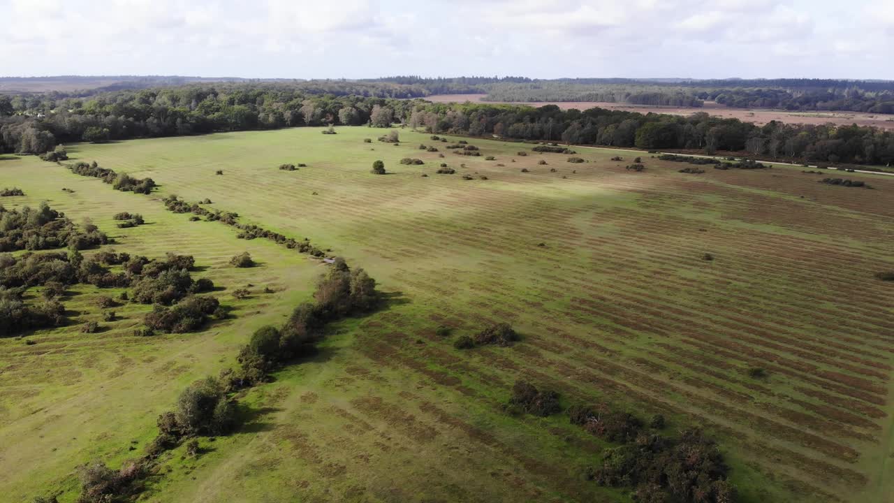 Aerial view of the beautiful landscape of New Forest National Park in Hampshire, England, showing meadows, fields and countryside