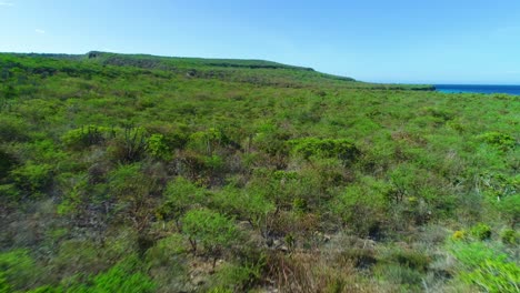 Aerial-dolly-above-tropical-shrubland-on-caribbean-island