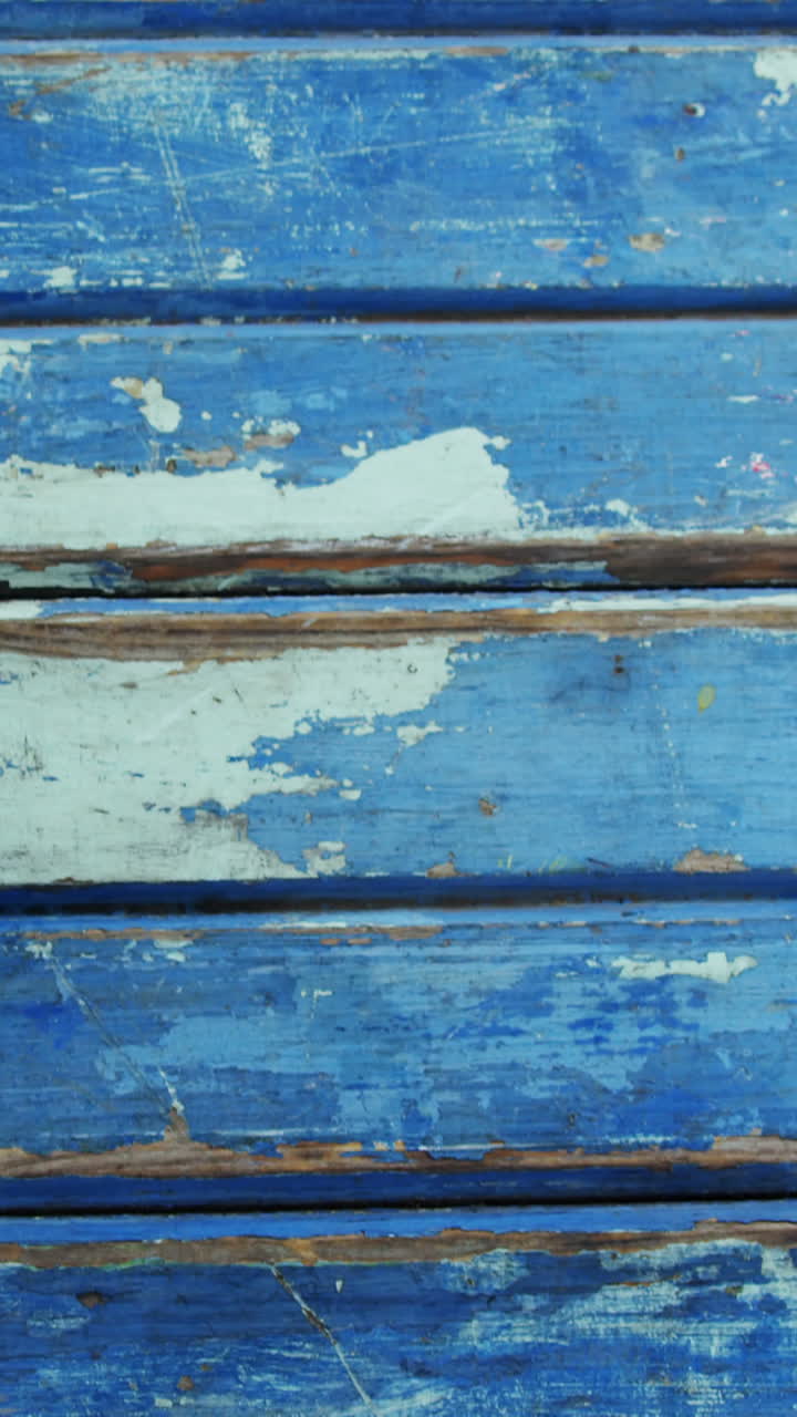 verduras frescas en envases de plástico