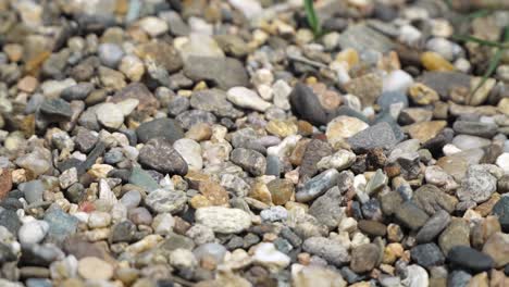 multi-colored pebbles on the a beach. beach vacation and travel background. pebble texture