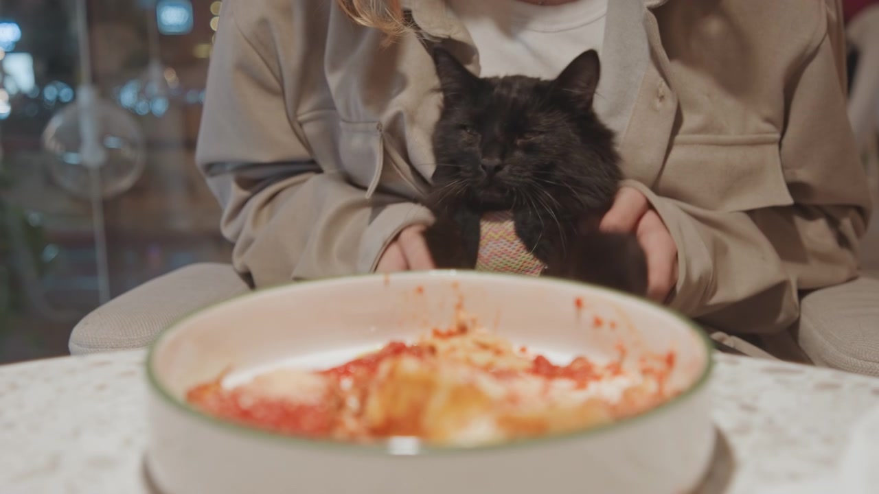 Nahaufnahme einer schwarzen Katze mit grünen Augen, die auf dem Schoß einer Person gehalten wird, die eine bunte Strickweste trägt. Die Szene zeigt, wie die Person die entspannte Katze drinnen bei sanfter Beleuchtung sanft wiegt, was eine ruhige Atmosphäre schafft.