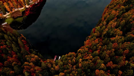 aerial drone top down shot over red spruce forest surrounded by lake toplitz during an autumn season in austria on a cloudy day