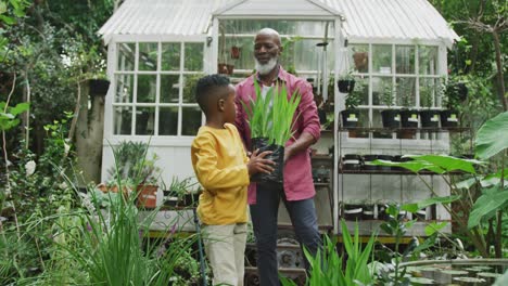 Happy-senior-african-american-man-with-his-grandson-holding-plants-in-garden