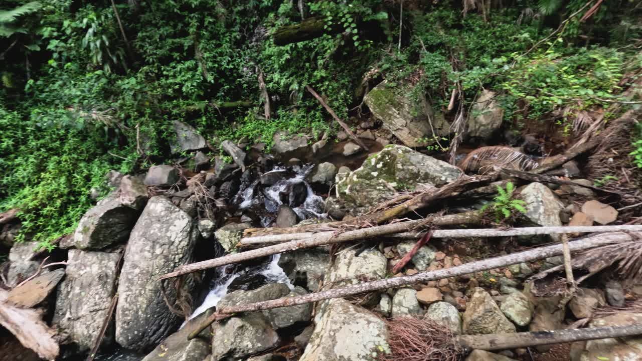 숲 속 의 바위 와 나무를 가로질러 흐르는 하천