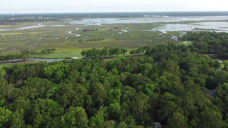 Pantano,-Pantano-En-Charleston,-Sc-Kiawah-Island