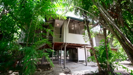 elevated tropical northern territory top end house built up with open air access below in dense jungle environment