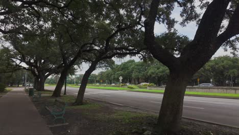 walking on sidewalk with trees towards hermann park in houston