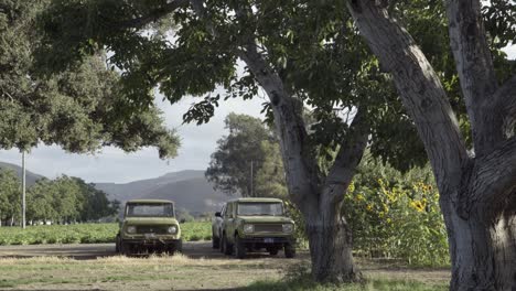 two old international scout vehicles parked on a ranch in the lompoc valley california