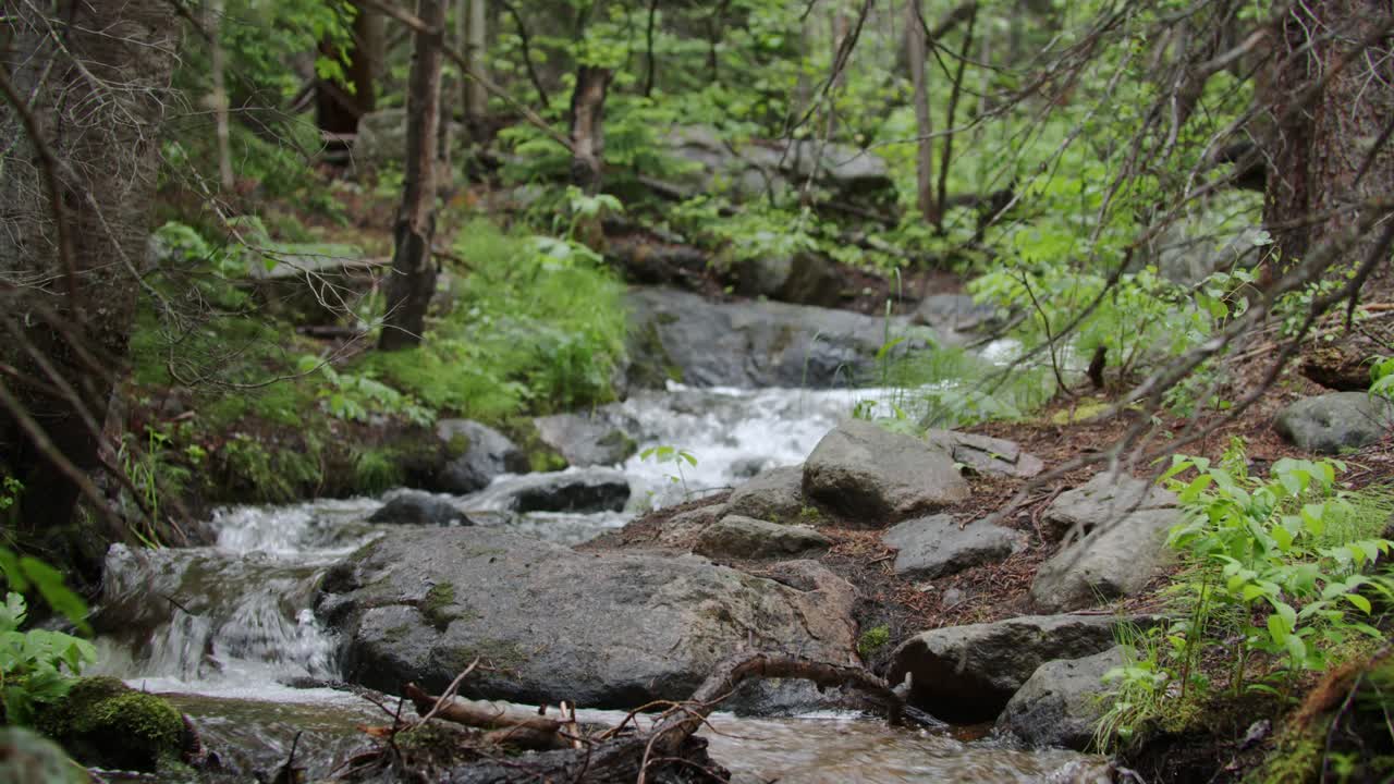 Fresh water streams over falls in the woods of North Saint Vrain Creek in the Rocky Mountain National Park, Colorado, USA
