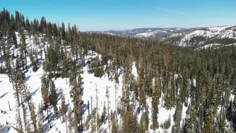 Sobrevuelo-Aéreo-De-Montañas-Cubiertas-De-Nieve-Y-árboles-En-El-Parque-Nacional