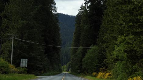 Tiro-Inclinado-De-Una-Pequeña-Carretera-Rural-Rodeada-De-Enormes-Pinos-Verdes-Y-Montañas-En-Medio-Del-Noroeste-Del-Pacífico-En-El-Estado-De-Washington,-EE.UU.-En-Un-Día-Nublado-De-Verano