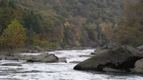 Aus-Der-Hand-Geschossen-Die-Flussschlucht-Mit-Atemberaubenden-Herbstlichen-Bäumen-Hinunter