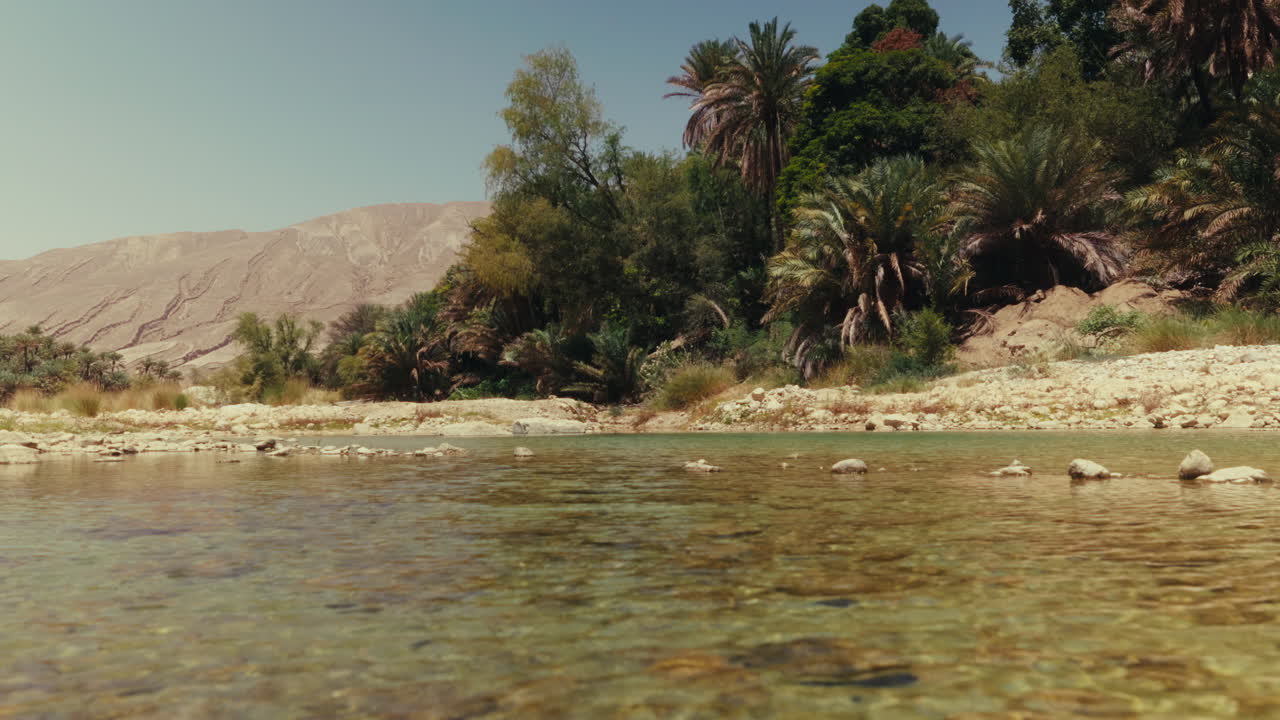 Oasis en el desierto