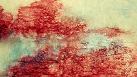 stationary shot of blue and red ink spreading on a piece of paper