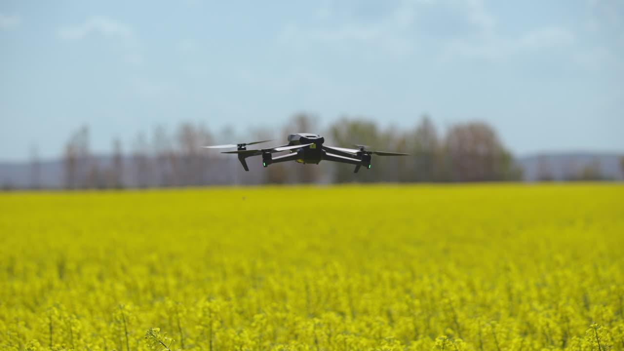 Drone Flying Over a Rapeseed Field