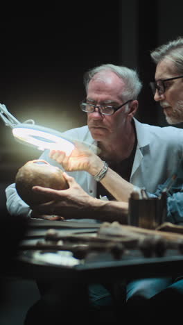 scientists examining an ancient skull