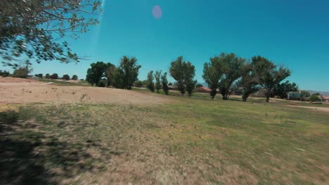 dangerously high speed flight at low altitude with a first person view between trees in a park