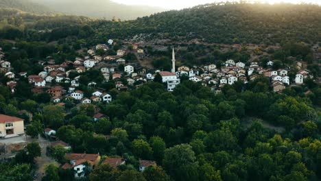 Aerial-view-of-mountain-village-in-forest