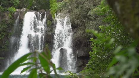 Eau-Blue-Cascada-En-Mauricio