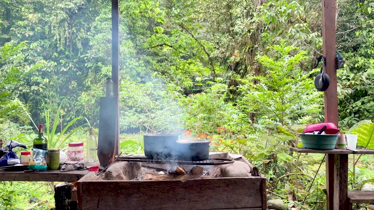 Plan large d'une cuisine extérieure rustique avec des casseroles cuisant sur un feu de bois fumant, entourée d'un feuillage luxuriant de jungle verte dans un magnifique cadre naturel.