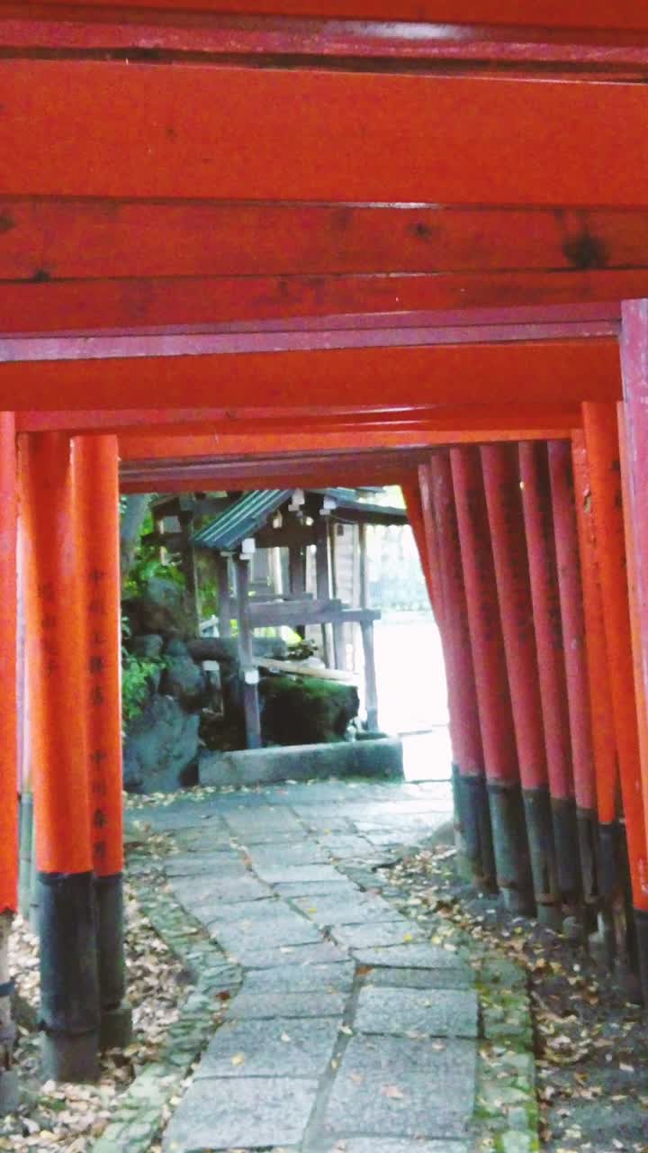 Vertical Walking POV at Torii Gates at Shinto Shrine in Kyoto Japan, Traditional Japanese Spiritual Path