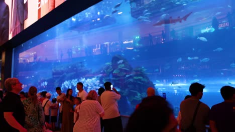 people observing marine life in large aquarium