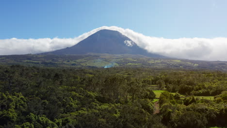 Vista-Aérea-Por-Drones-De-La-Exuberante-Vegetación-En-La-Isla-Pico