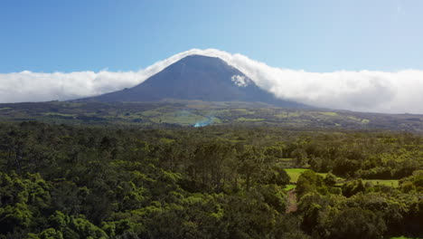 vista aérea de la exuberante vegetación en la isla de pico