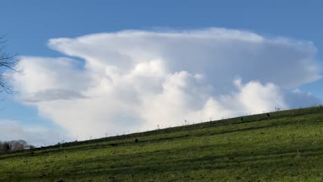 mushroom shaped white cloud on sunny green hill field, black crows birds flying