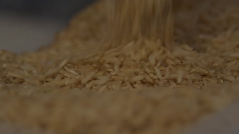 close up of brown rice being scooped and poured with a measuring cup