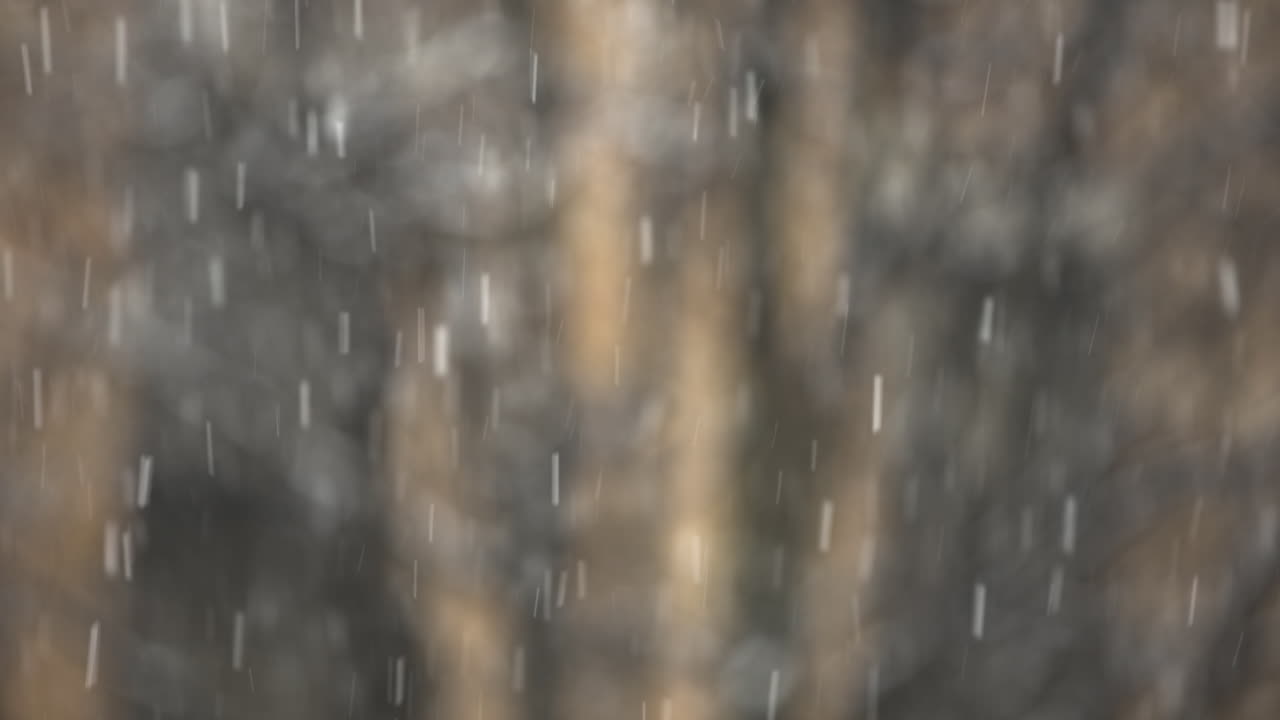 Chute de neige à New York