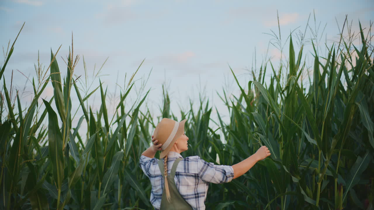 mujer en el campo de maíz