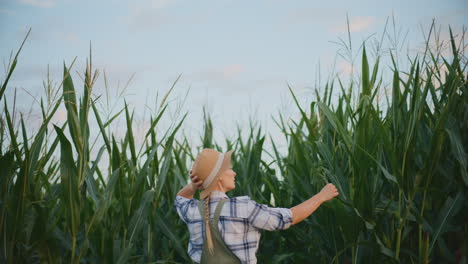 woman in cornfield