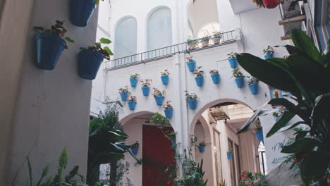4k marbella traditional white street and flowers in blue pots, andalusia