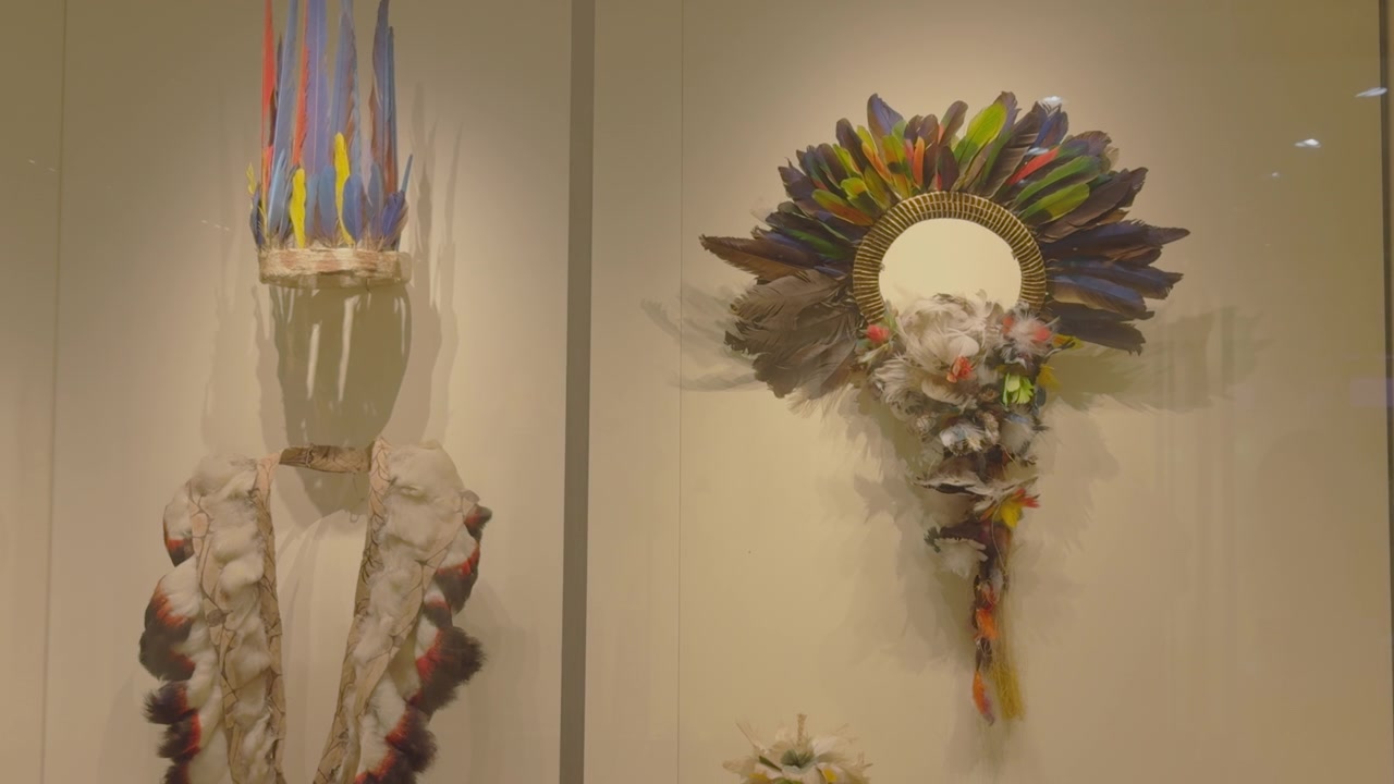 博物館に展示された鮮やかなアマゾンの羽毛工芸品のコレクション。文化ドキュメンタリーや教育コンテンツに最適。