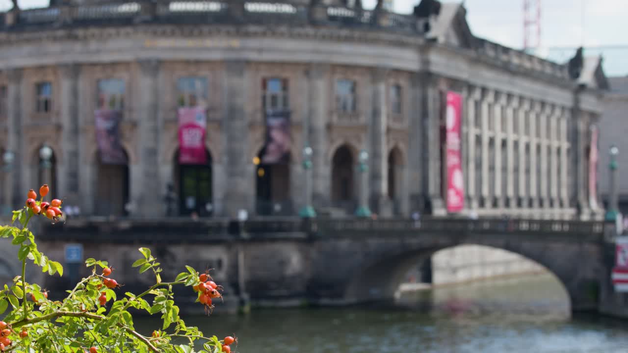 Camera shifts focus from vibrant foreground flowers to historic riverside museum on sunny day