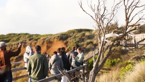 people gather at lookout, enjoying the scenery