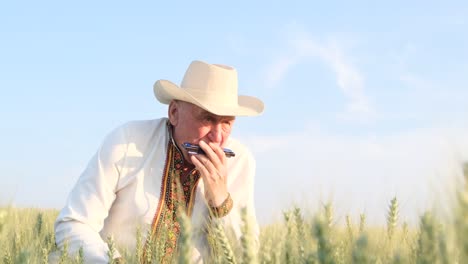 elderly man in a cowboy hat plays soulful harmonica in countryside in a serene countryside an elderly man in a cowboy hat plays a soulful harmonica tune filling the air with nostalgia and tranquility