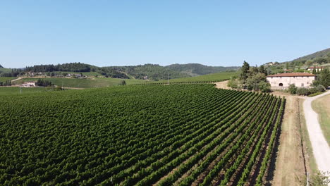 reveal shot of wide green vineyards, tuscany province, italian countryside