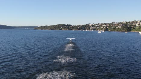 sydney - seaplane taking off rose bay