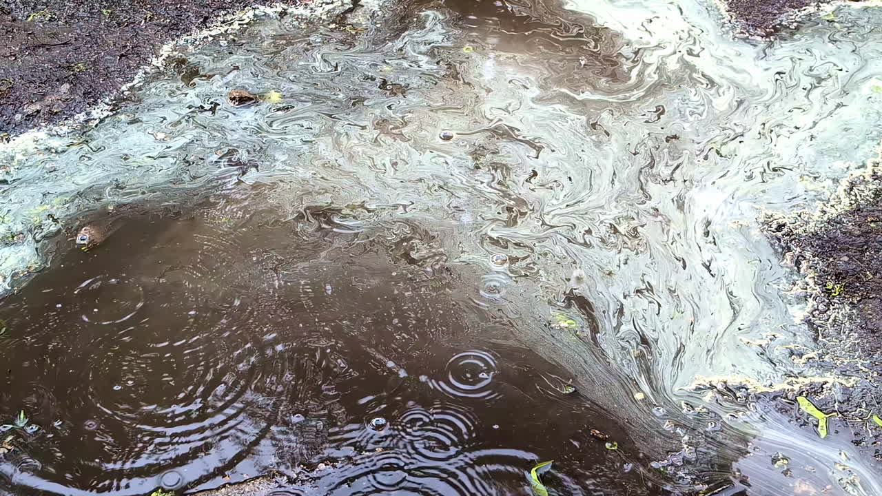 은 땅, 오염된 물, 환경 재난, 토양의 침식