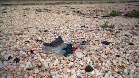 basura plástica en una playa de conchas que contamina la orilla del mar