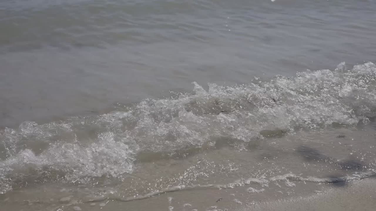 놀라운 해변 열대, 후안 도리오, 도미니카 공화국, 아름다운 여름 휴가, 자연, hd 영상