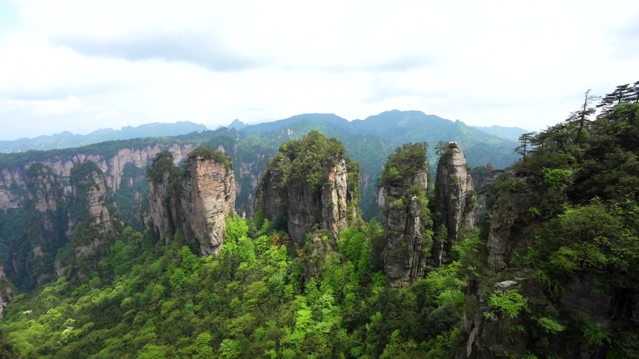 Formazioni geologiche uniche con una vegetazione verde lussureggiante nel Parco Forestale Nazionale di Zhangjiajie, Hunan