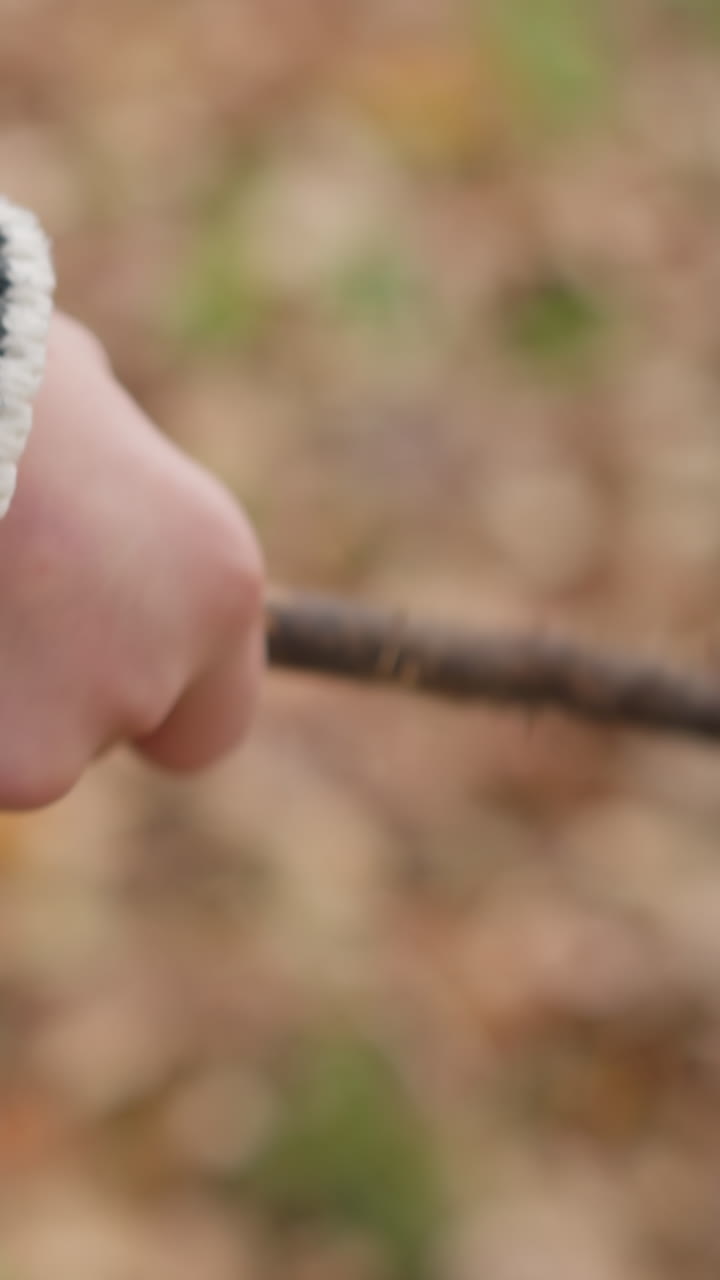 Close-up of kid's hand holding and twisting dry stick while wearing blue jacket and striped sweater cuff, with blurred autumn foliage background