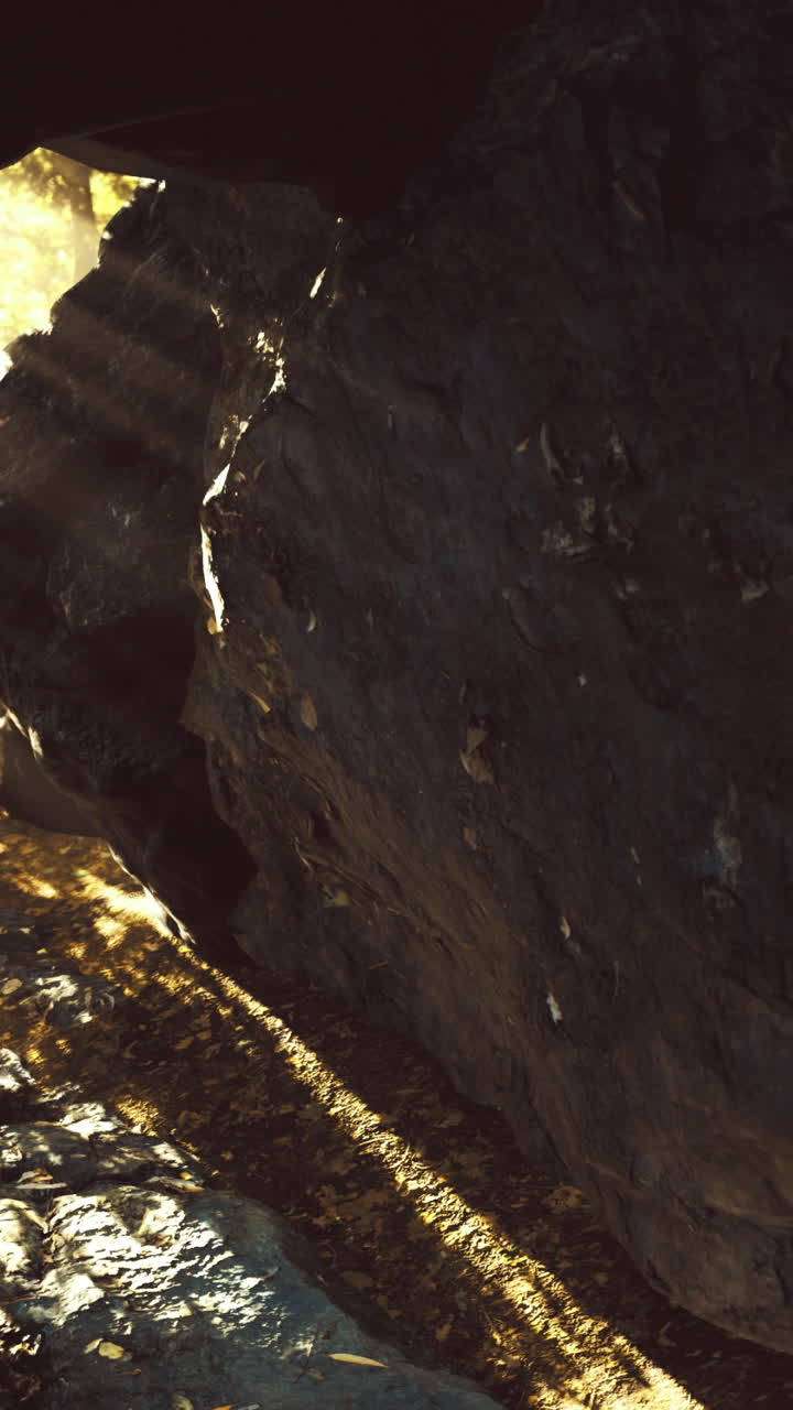 Natural light streams through rocky opening in forest during golden hour