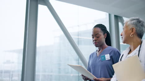 doctor, documents and nurse walking