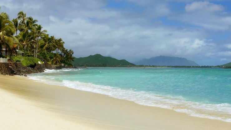 Tropical Beach Paradise