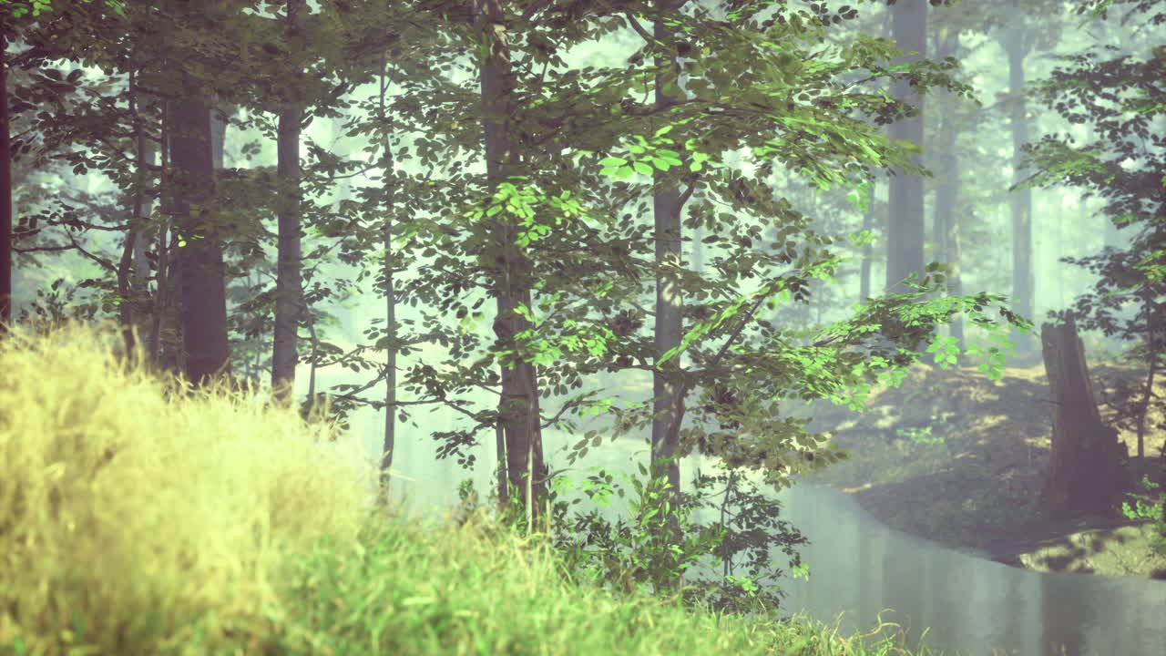 Lush green trees surround a serene stream enveloped in soft morning mist