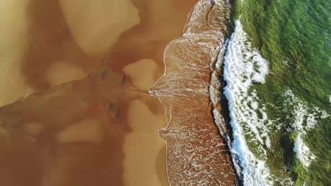 Waves-on-the-white-sands-of-Australia,-sunrise-with-the-surf-club-in-the-background